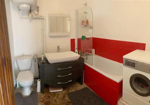 a bathroom with a toilet and a sink and a washing machine at Chez Sigmund et Skywalker in Lachau