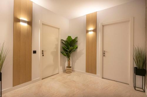 a hallway with two mirrors and a potted plant at Huellas de la Mancha in Burguillos de Toledo