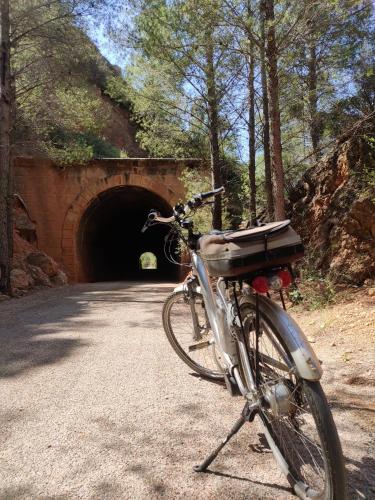 Montar en bicicleta en Lo Petit Delta o alrededores