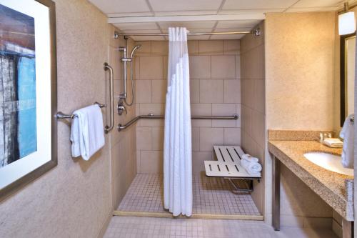 Bathroom sa Holiday Inn Detroit Northwest - Livonia, an IHG Hotel