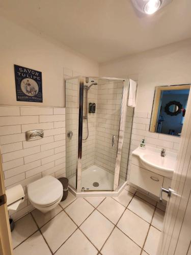 a bathroom with a toilet and a shower and a sink at Avalon Resort in Kerikeri