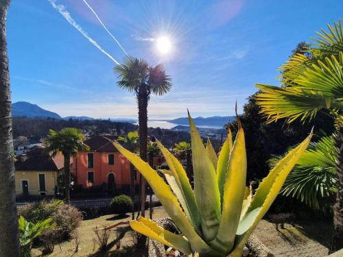 a palm tree with the sun in the sky at Apartment in Vignone Villa Setting in Vignone