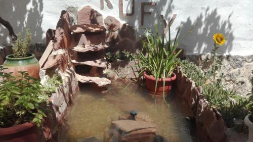 a small pond in a garden with potted plants at Luz de Carboneras in Carboneras de Guadazaón