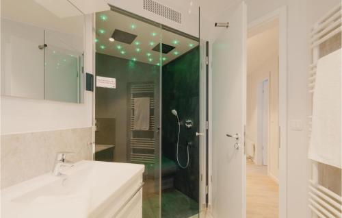 トラフェミュンデにあるDuenenvilla Dtr098 Egのバスルーム(シャワー、洗面台、鏡付)