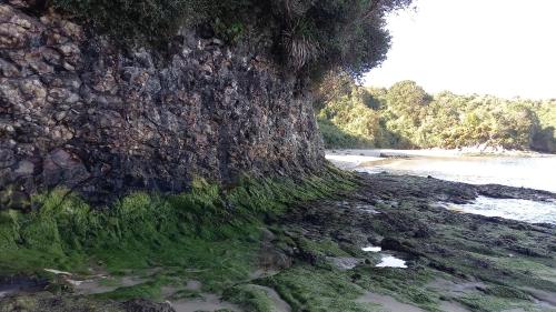 a rock wall next to a beach with green grass at UNA VISTA PERFECTA in Teguaco