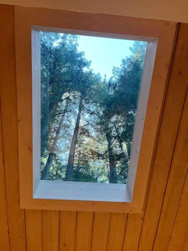Fotografie z fotogalerie ubytování Window to the Redwoods - Near Downtown MV, Dipsea Trail, & Muir Woods v destinaci Mill Valley