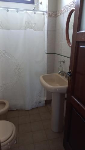 y baño con lavabo, aseo y cortina de ducha. en Chalet del Rosedal en San Salvador de Jujuy