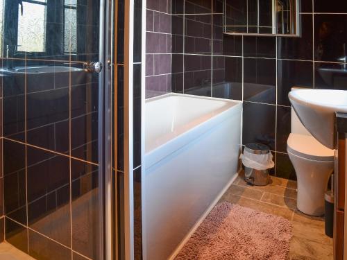 a bathroom with a shower and a toilet and a sink at Rallt Fawr in Gwalchmai