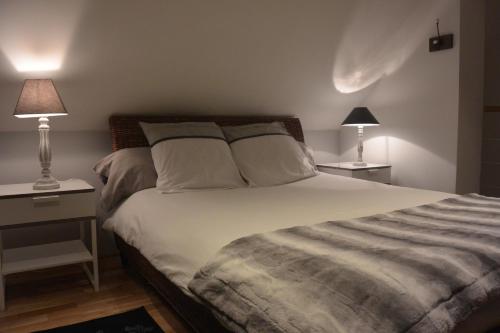 Appart´choisille في La Membrolle-sur-Choisille: غرفة نوم بسرير كبير فيها مصباحين