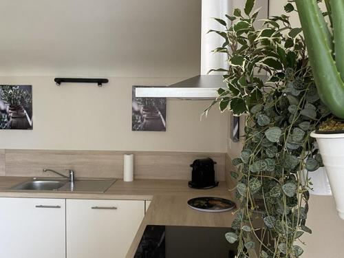 Kuchyň nebo kuchyňský kout v ubytování Charmant T3 avec jardin privé, proche des Thermes, bien équipé, parking inclus - FR-1-541-97
