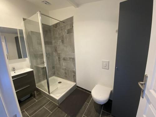 une salle de bain avec une douche, des toilettes et un lavabo dans l'établissement Studio lumineux avec jardin privé et terrasse en plein centre de La Roche-Posay - FR-1-541-96, à La Roche-Posay