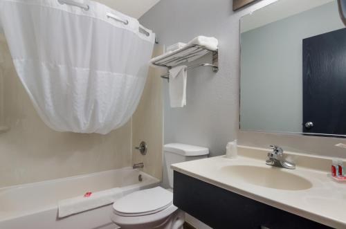 a bathroom with a sink and a toilet and a mirror at Econo Lodge Scottsbluff in Scottsbluff