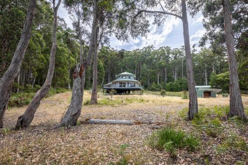 Un jardín fuera de Tall Trees- Forest hideaway on Hastings Lagoon