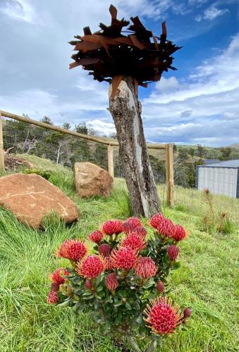 a tree stump with a mushroom on top of red flowers at Aquila Eco Retreat in Richmond