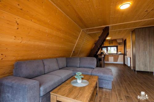 a living room with a couch and a table at Transylvania Apartments in Borzont