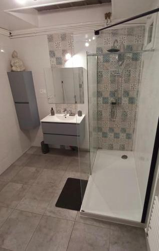 une salle de bain avec douche et lavabo dans l'établissement Le Nid - Amboise gîte semi troglodyte, à Amboise