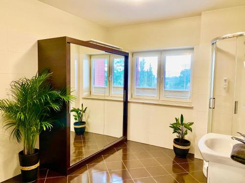 a bathroom with two potted plants and a shower at LAS SŁUPSKI PREMIUM BUSINESS APARTAMENT NR 7 Wifi Netflix Smart TV50 two bedrooms two extra large double beds up to 6 people full pleasure quality stay in Słupsk