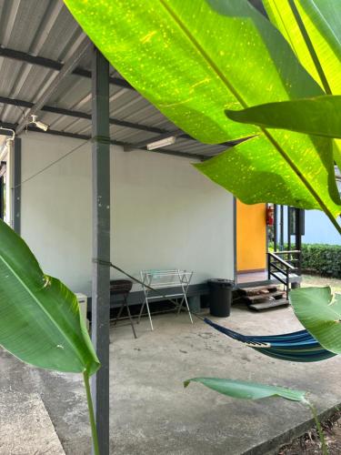 a large green leafy plant next to a room at Fine Times Resort in Ko Chang