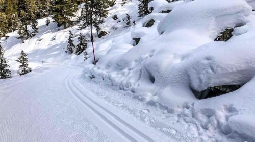a road covered in snow with trees in the background at Heimelige Ferienwohnung mit Sicht in die Bergwelt in Bivio
