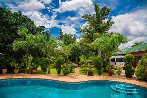a swimming pool in front of a house with trees at Dzimbahwe Guest Lodge in Victoria Falls