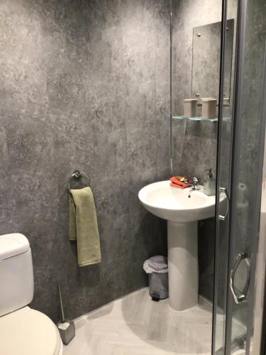a bathroom with a sink and a toilet at Ravensworth House in Keswick
