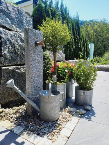 a garden with three potted plants and a water fountain at Neue Wohnung an Stadtrand mit Parkplatz in Ebikon