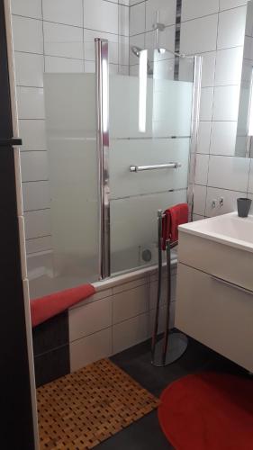 une salle de bain avec douche et lavabo dans l'établissement Villa Verdi, à Ostheim