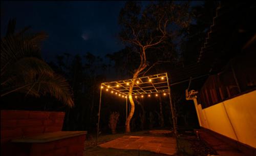 a pergola with lights around a tree at night at Multiple Stories, Wayanad in Wayanad