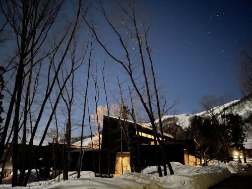 a house in the snow at night with trees at NIVIA in Hakuba