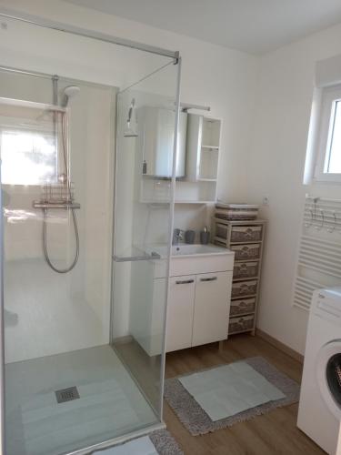 a bathroom with a shower and a sink and a toilet at MAISON OSSATURE BOIS in La Bourboule
