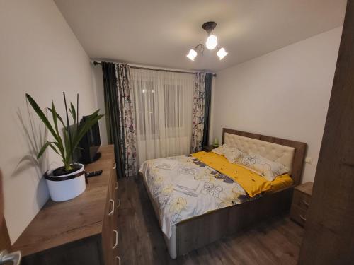 a bedroom with a bed and a potted plant at Subcetate Residence in Bistriţa