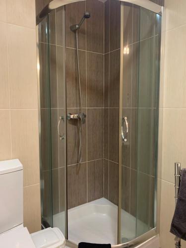a shower with a glass door in a bathroom at Giesta Flower by Madeira Holiday Rentals in Ribeira Brava