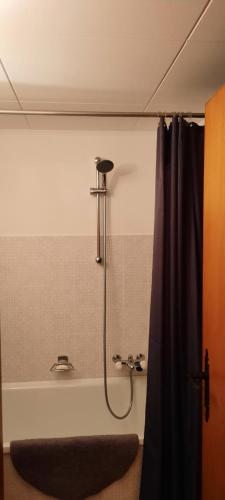 ナンダにあるBouleaux G2のバスルーム(シャワー、バスタブ付)