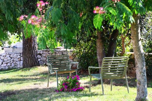 two chairs sitting in the grass under a tree at Masseria Peppeturro in Cisternino