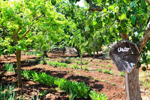 a garden with a sign in the middle at Masseria Peppeturro in Cisternino