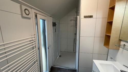 y baño con ducha y lavamanos. en Ferienhaus tinydroom im Europarcs Bad Hoophuizen am Veluwemeer en Hulshorst