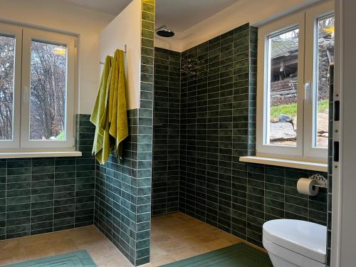 a green tiled bathroom with a toilet and windows at Ferienhaus Thonjoergl in Gnas