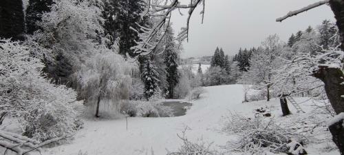 a snow covered path in a forest with trees at Fuchsbauerhof - Ferienwohnung in Kniezenberg