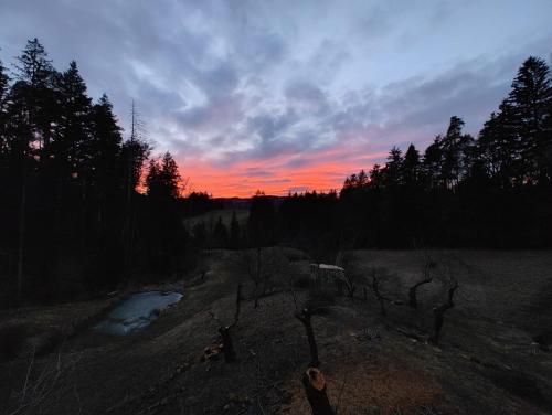 a sunset over a field with trees and a creek at Fuchsbauerhof - Ferienwohnung in Kniezenberg