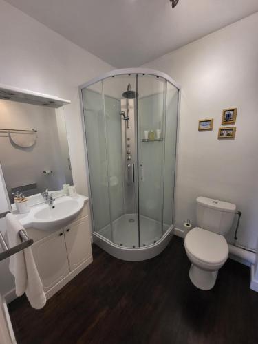 La salle de bains est pourvue d'une douche, de toilettes et d'un lavabo. dans l'établissement Fleur de Lys, à Ansac-sur-Vienne