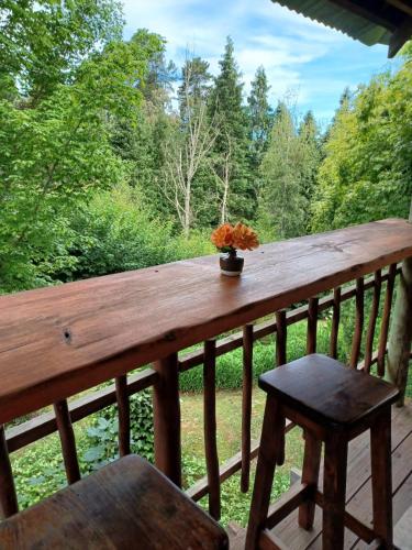 a wooden deck with a bench and a vase of flowers at Maple Grove in Hogsback