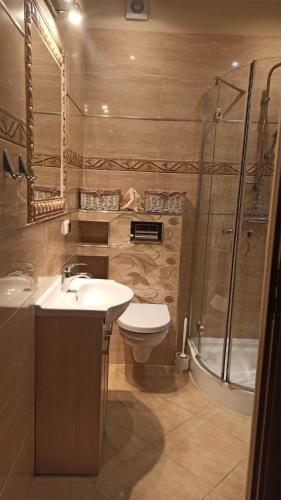 a bathroom with a toilet and a sink and a shower at Wydmuchówka in Jurata