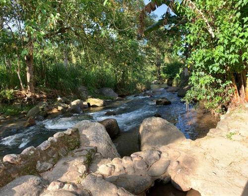 a stream with rocks and trees in a forest at Casa em Lumiar - Barulhinho do Rio in Lumiar
