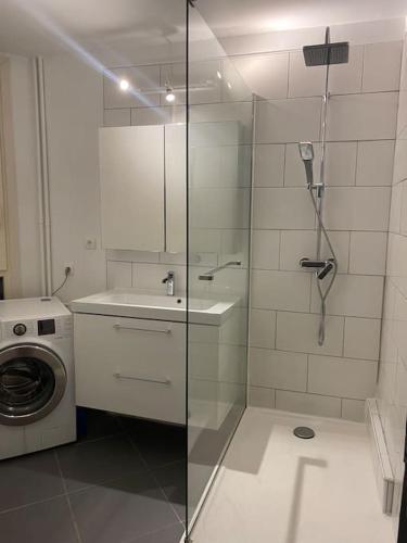 une salle de bain avec douche et machine à laver dans l'établissement Appartement proche centre ville, à Aix-en-Provence