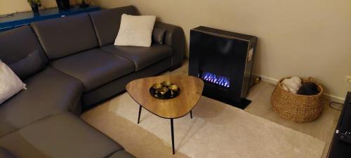a living room with a couch and a coffee table at Woodpecker - bungalow 29 in Durbuy