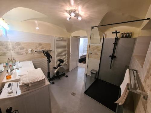 a bathroom with a shower and a sink at Casa Graef in Braşov