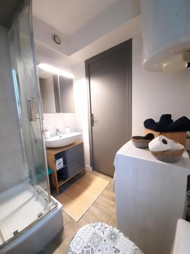 un piccolo bagno con doccia e lavandino di charmant studio Beauvais proche centre, gare , et aéroport. a Beauvais