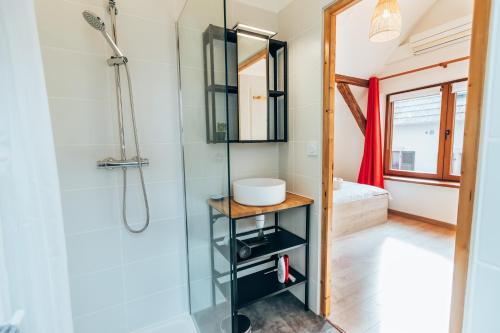 uma casa de banho com um chuveiro e um lavatório. em Aux Cerfs des Vignes - L'annexe em Scherwiller