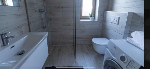 a bathroom with a shower and a toilet and a sink at Penzion Tera u zámku Červená Lhota in Pluhův Žďár