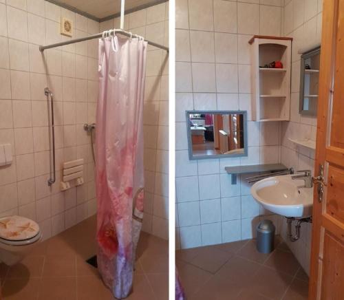 a bathroom with a shower and a toilet and a sink at Moierhof in Treffelstein